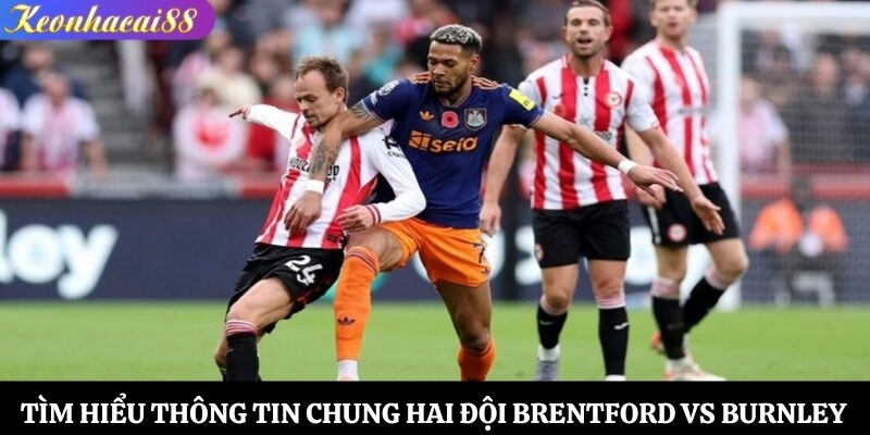 Tìm hiểu thông tin chung hai đội Brentford vs Burnley