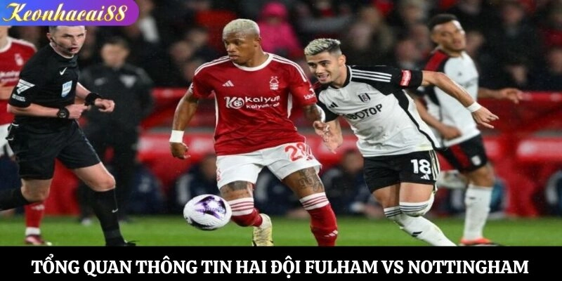Tổng quan thông tin hai đội Fulham vs Nottingham Forest