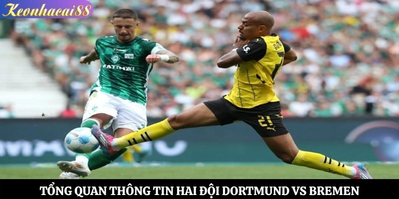 Tổng quan thông tin hai đội Dortmund vs Bremen