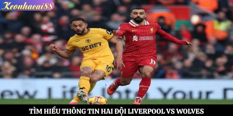 Tìm hiểu thông tin hai đội Liverpool vs Wolves
